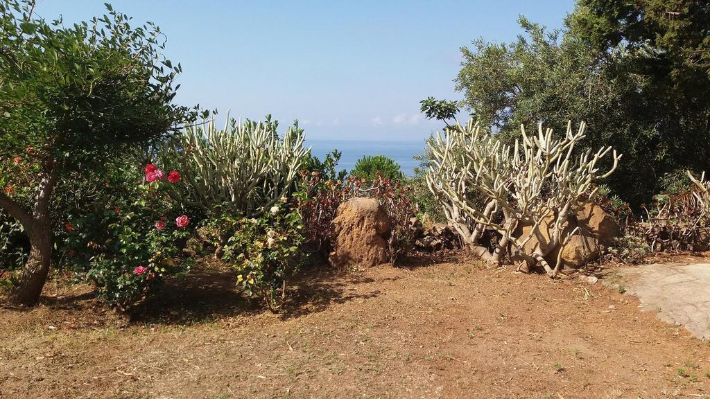 Villa La Rosa Pecorini 외부 사진